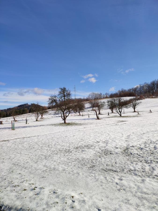 Chata Na Karpackiej Kostrzyca Exterior foto